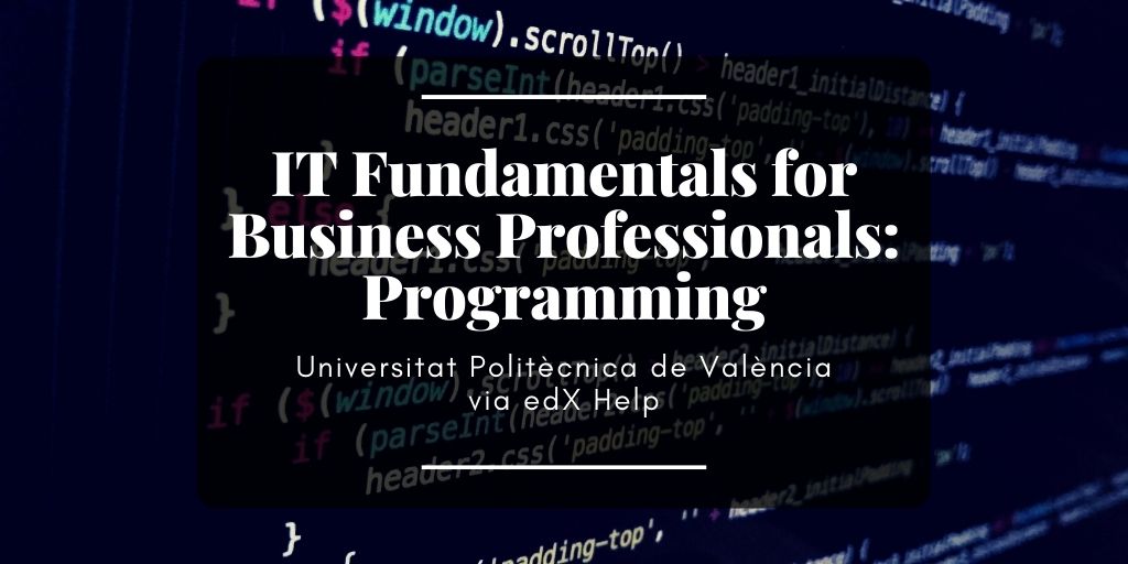 IT Fundamentals for Business Professionals Programming